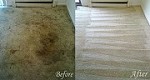 Carpet Cleaning Worcester